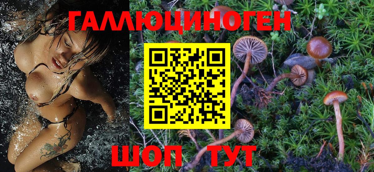 Галлюциногенные грибы MAGIC MUSHROOMS Михайловск